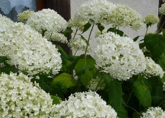 Le Clos Buyragane, Pays D'auge Holiday home Le Pin (Calvados)